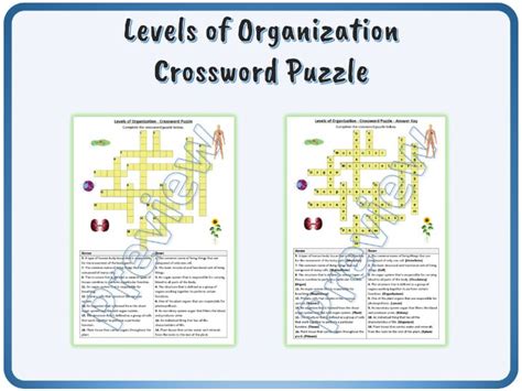 organize prepare crossword clue.